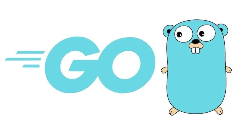 A Gentle Introduction to Go