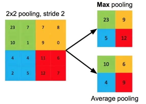 Max & Avg Pooling
