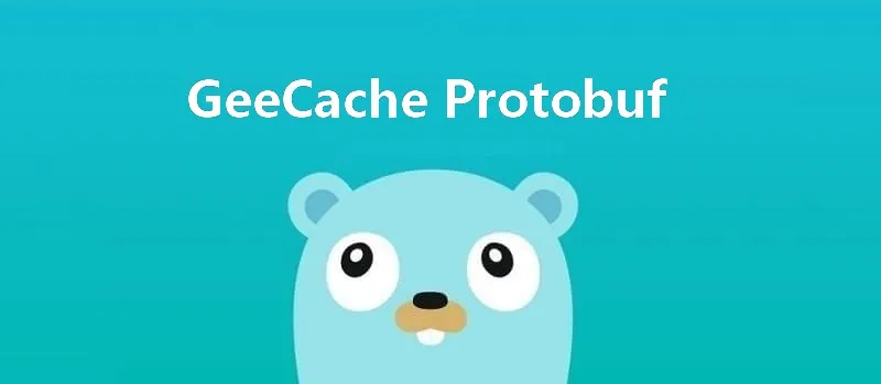 geecache protobuf