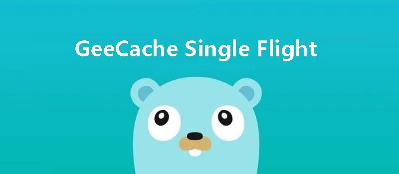 geecache single flight